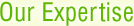 our expertise